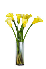 Yellow flower on vase in white background