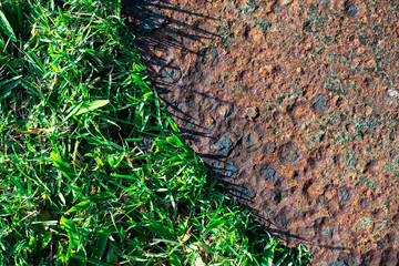 close up Grass and rusted steel plates
