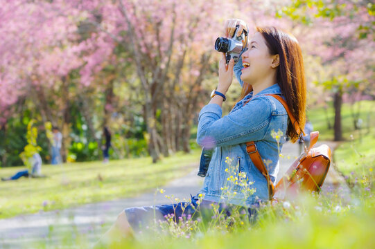 Beautiful Young Asian backpacker using vintage camera take a photo and smiling happiness in the midst of spring cherry blossoms bloom Travel lifestyle, world explorer, Asia travel idea.