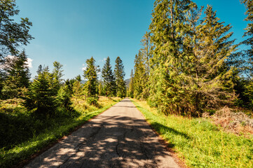 Mountain landscape in mountains, Juranova dolina - valley in The Western Tatras national park. Slovakia, oravice, Orava region. © Zedspider