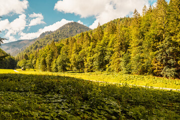 Mountain landscape in mountains, Juranova dolina - valley in The Western Tatras national park. Slovakia, oravice, Orava region. © Zedspider