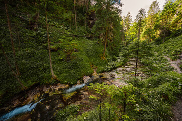 Mountain landscape in mountains, Juranova dolina - valley in The Western Tatras national park. Slovakia, oravice, Orava region. © Zedspider