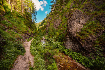 Mountain landscape in mountains, Juranova dolina - valley in The Western Tatras national park. Slovakia, oravice, Orava region. © Zedspider