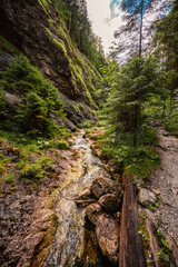 Mountain landscape in mountains, Juranova dolina - valley in The Western Tatras national park. Slovakia, oravice, Orava region. © Zedspider