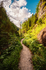 Mountain landscape in mountains, Juranova dolina - valley in The Western Tatras national park. Slovakia, oravice, Orava region. © Zedspider