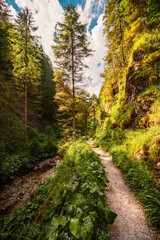 Mountain landscape in mountains, Juranova dolina - valley in The Western Tatras national park. Slovakia, oravice, Orava region. © Zedspider