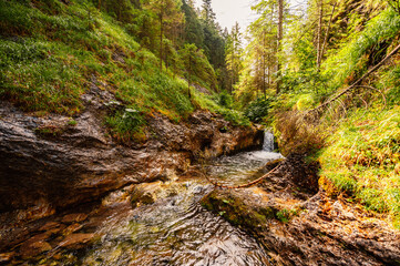Mountain landscape in mountains, Juranova dolina - valley in The Western Tatras national park. Slovakia, oravice, Orava region. © Zedspider