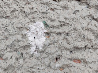 Concrete wall background full frame