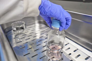 Hand of researcher with nitrile grove, The researcher warm the cell culture media in the water bath to prepare cell test and change media. The lab test in the laboratory room.