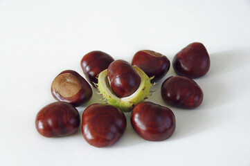 Chestnuts close-up on a white background. Horse chestnut fruit. Selective focus.