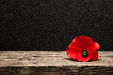 Poppy pin for Remembrance Day. Poppy flower on old beautiful high grain, detailed wood on black...