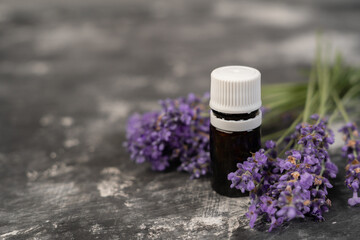 Obraz na płótnie Canvas Aromatherapy tools, oil bottles and lavender flowers. Bottle of essential oil and lavender flowers on gray background. aromatherapy spa massage. Lavendula oleum