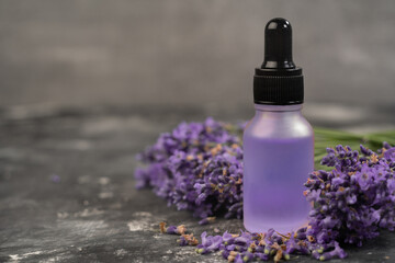 Obraz na płótnie Canvas Dropper bottle of essential lavender oil, mortar of dry lavender flowers on table. Bottle with aroma oil and lavender flowers on gray