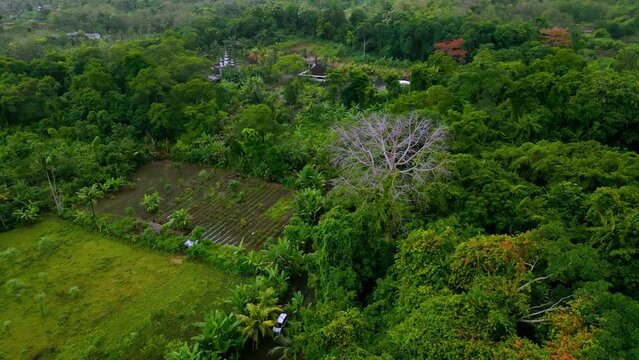 landscape with green hills and a forest, Puser Saab Temple in Nusa Penida, Bali, Aerial Shot Indonesia