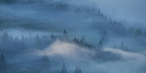 Misty morning in the mountains. Valley covered by early morning fog