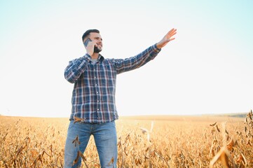 Farmer or agronomist inspecting soybean field.