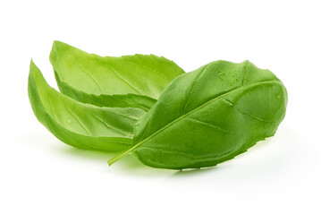 Fresh organic basil leaves, isolated on white background.