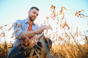 agronomist or farmer examining crop of soybeans field.