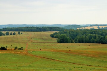 Fototapeta na wymiar Landscape, view of a pasture on a hilly plain