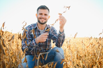 agronomist or farmer examining crop of soybeans field.
