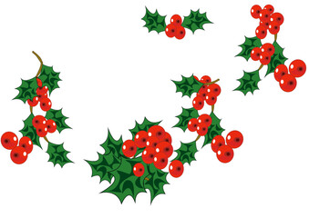 Christmas holly with berries