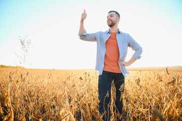 agronomist or farmer examining crop of soybeans field.