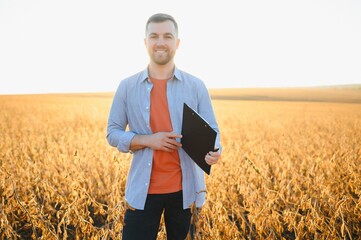 Agronomist inspects soybean crop in agricultural field - Agro concept - farmer in soybean plantation on farm.