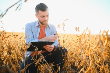 A farmer inspects a soybean field. The concept of the harvest