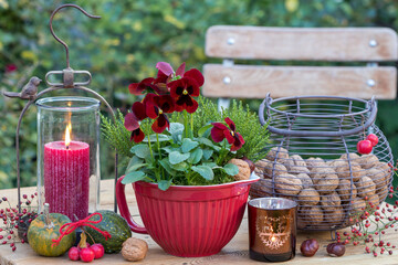 Herbst-Arrangement mit rotem Stiefmütterchen im Porzellan-Topf, Walnüssen im Korb und vintage Laterne