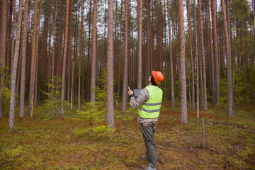 An ecologist works in the forest with a computer.