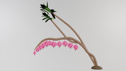 Unusual plant with pink flowers and leaves at the top of the stem