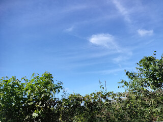 Blue sky and peace in Dalat