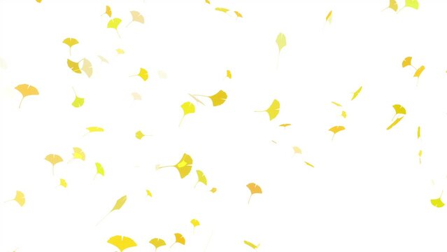 Fallen leaves loop background material