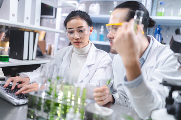 eco skin care beauty products in laboratory development concept, Natural drug research with organic plants and scientific extraction in glassware, Alternative green herb medicine for body health care