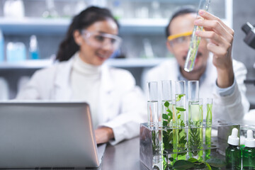 eco skin care beauty products in laboratory development concept, Natural drug research with organic plants and scientific extraction in glassware, Alternative green herb medicine for body health care