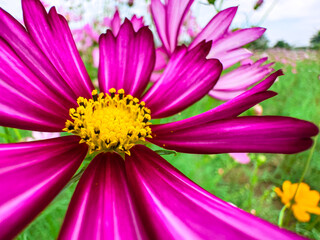 Fototapety na wymiar - Fototapeta24.pl