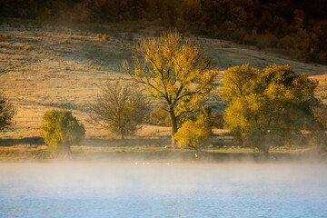 Beautiful autumn nature with yellow trees and reflection in the water