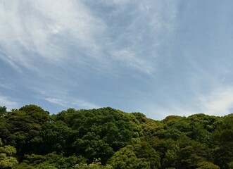 自然のなかでリラックス