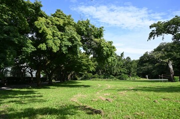 Obraz premium 自然のなかでリラックス