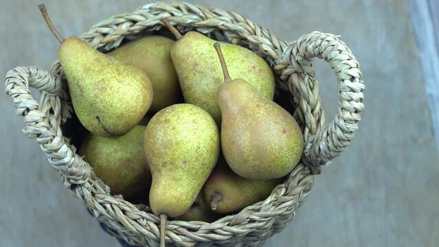 Pears in basket on a wooden background. Fruit harvest. Autumn still life. Pear variety Bera Conference. Vitamin food.