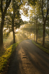 Rural road at sunrise