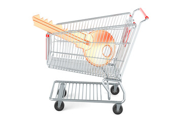 Shopping cart with key, 3D rendering