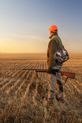 Hunter with rifle walking in the field at sunset. Autumn hunting season. Vertical image.