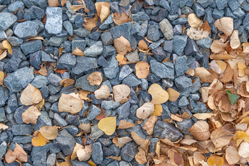 Brown dried fall leaves on stones and Gravel