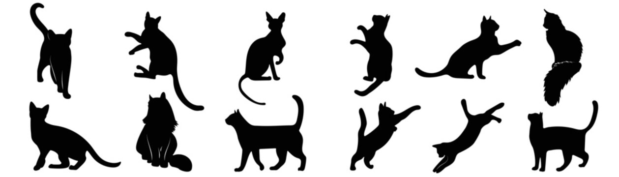 Set of cat silhouette vector. Cute cats in different breeds, posture, sitting, stand, play, sleep. Collection of black pet silhouette element design for logo, card, print, decorative