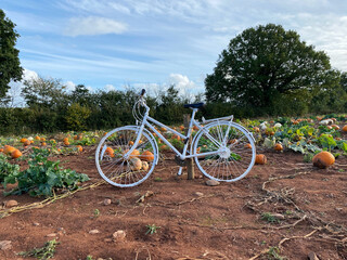 Fototapeta premium Bicycle in a field on a pumpkin farm in Autumn