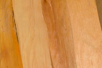 Fototapeta premium Drewno olchowe ustawione w pionowym układzie na zdjęciu 