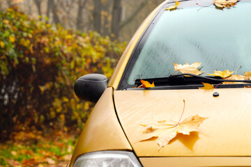 Wanting a car in autumn leaves