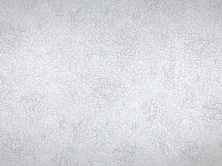 White wall with micro cracks all over the surface