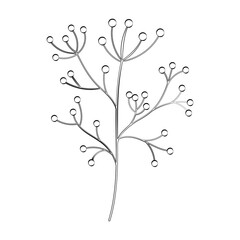 A twig of a plant and a flower with a thin line. Vector on a white background